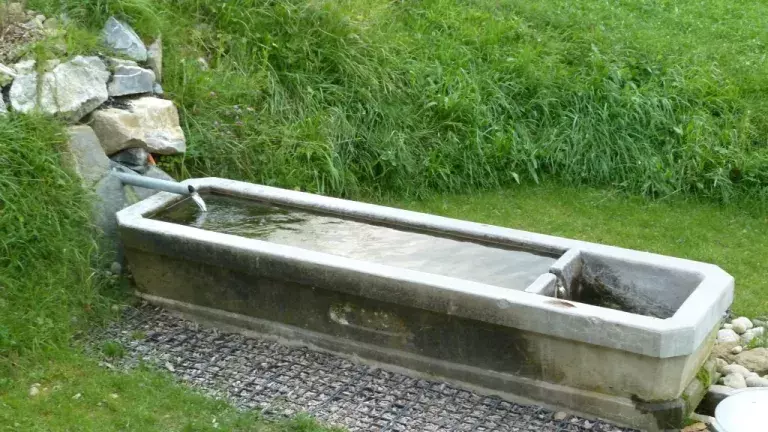 Brunnen hinter dem Ferienhaus mit eigener Quelle