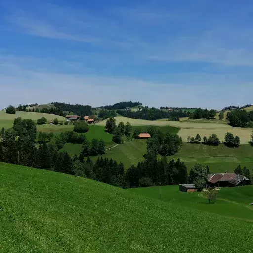 Blick auf den Betrieb Rötlisberg mit gemähten Feldern